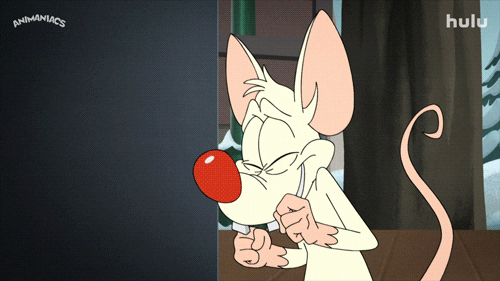 Pinky from Pinky and the Brain